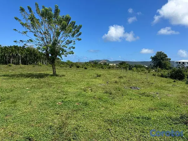 solares y terrenos - Terrenos cerca a playa en las Galeras 6
