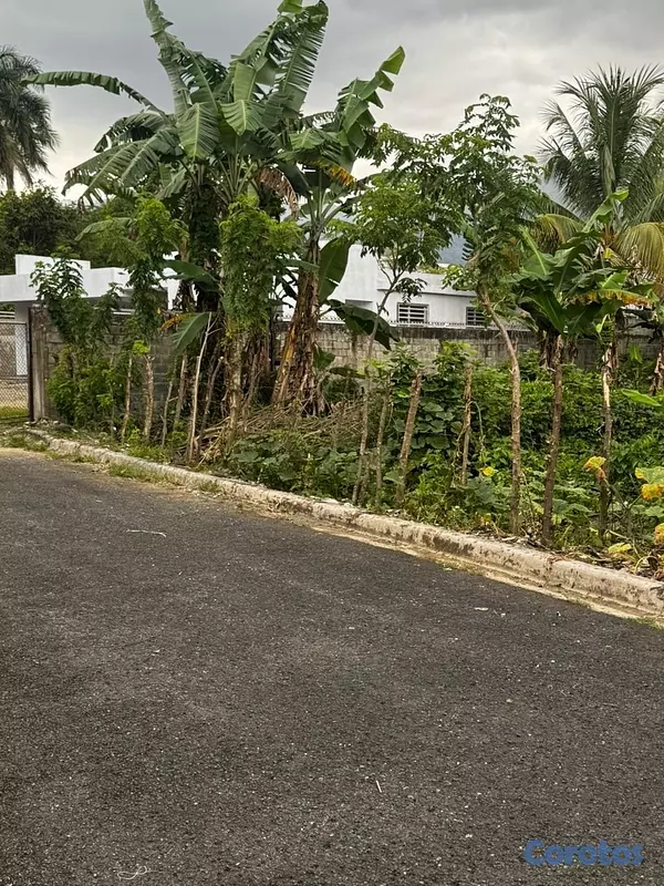 solares y terrenos - Solar en venta Zona Céntrica 5