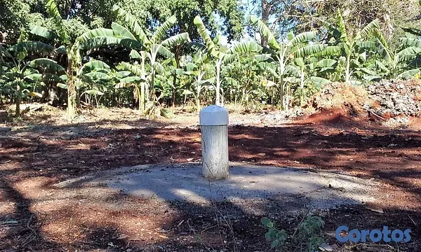 solares y terrenos - Remato Solar de 292mil metros Puerto Plata  7