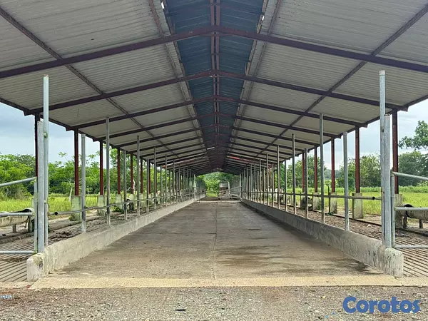 solares y terrenos - Finca Ganadera en Cotui de 800 tareas  7