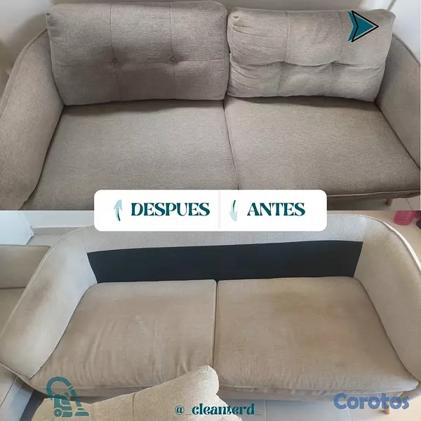 servicios profesionales - Servicio profesional de limpieza de mobiliarios. 10