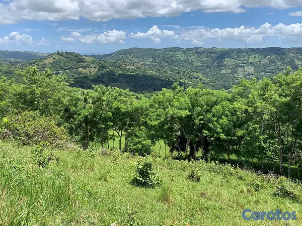 solares y terrenos - finca ganadería en villa trina  10