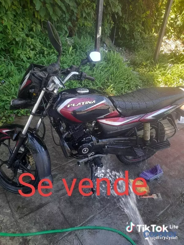motores y pasolas - Matricula en mano todo aldia  4