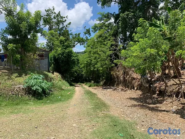 solares y terrenos - finca ganadería en villa trina  7