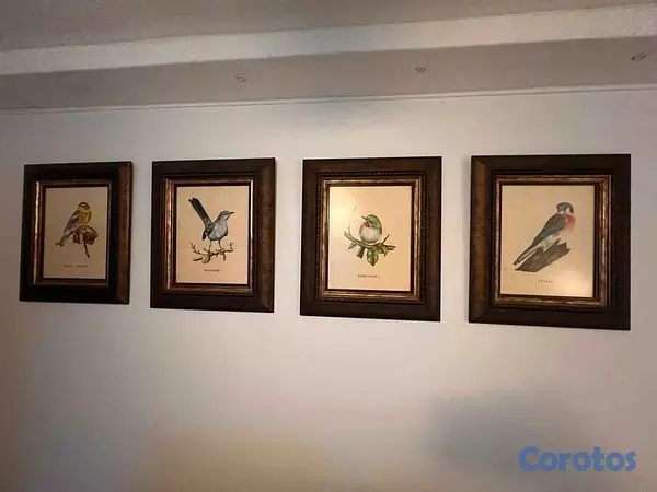 decoración y accesorios - Cuadros Exoticos 3