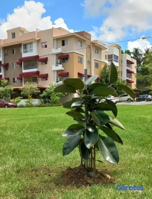 apartamentos - Alquilo en 📍Colinas del Oeste, frente al Bravo 27 8