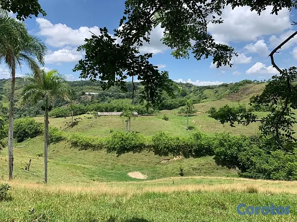 solares y terrenos - finca ganadería en villa trina  8