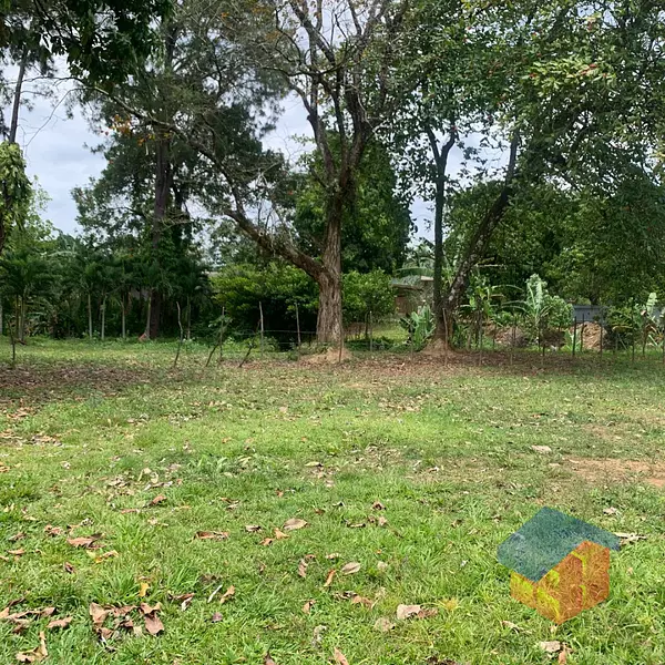 solares y terrenos - Solares Venta en Bonao 1