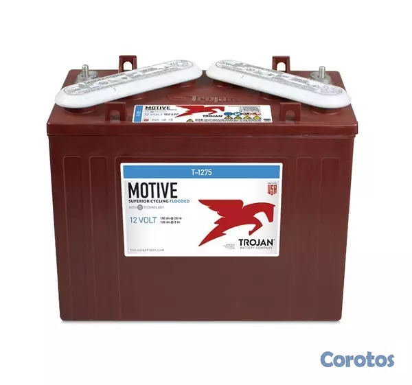 plantas e inversores - Baterías Trojan 12 volt / 225 AH disponible  2