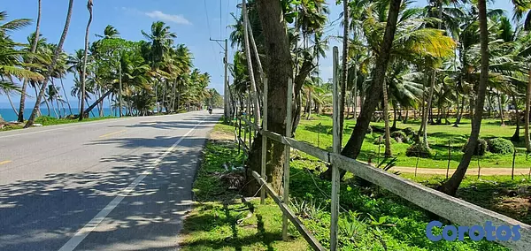 solares y terrenos - Solares en Nagua 7