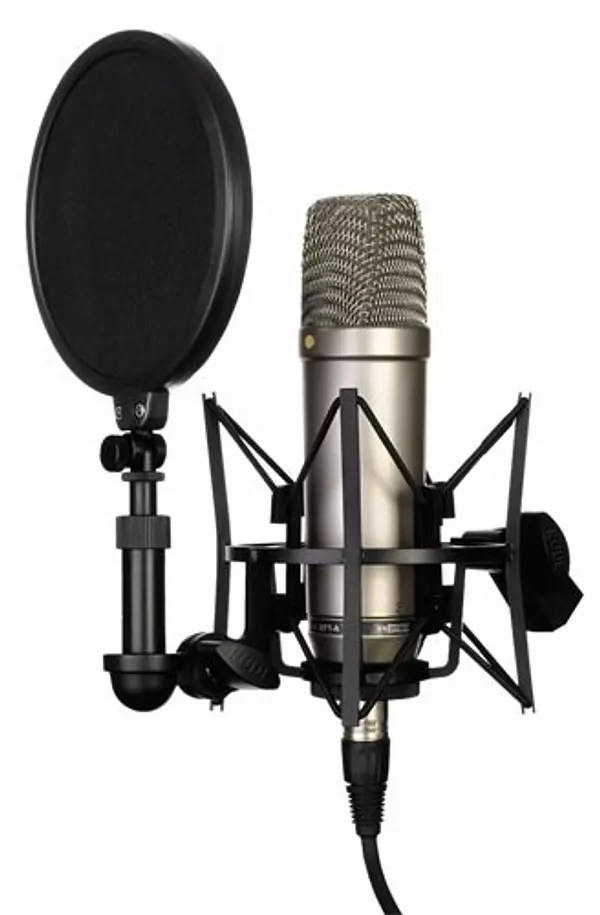 otros electronicos - Microfono De Condensador Profesional Kit EStudio + Araña + anti pop pedestal USB 2