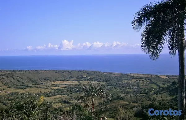 solares y terrenos - Remato Solar de 292mil metros Puerto Plata  6