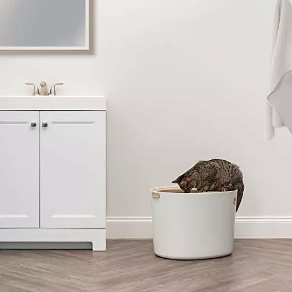 Salud y Equipamiento Médico - Caja De Arena Para Gatos Con Entrada Superior De Iris Con Pa 2
