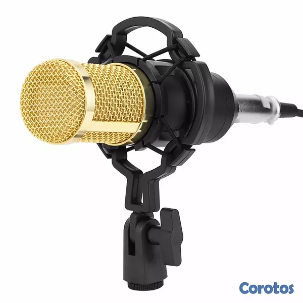 equipos profesionales - Micrófono Condensador Profesional de estudio 4