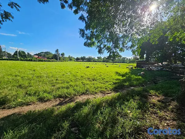 solares y terrenos - Remato Solar en San Francisco de macoris 8