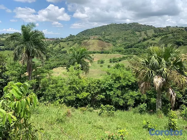 solares y terrenos - finca ganadería en villa trina  9