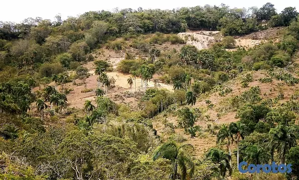solares y terrenos - Remato Solar de 292mil metros Puerto Plata  8