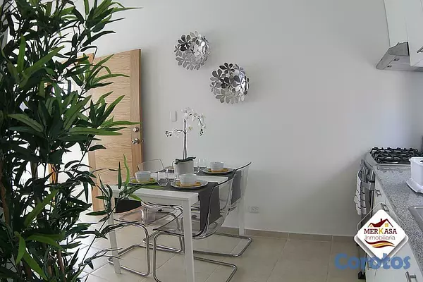 apartamentos - COMODOS APARTAMENTOS  2