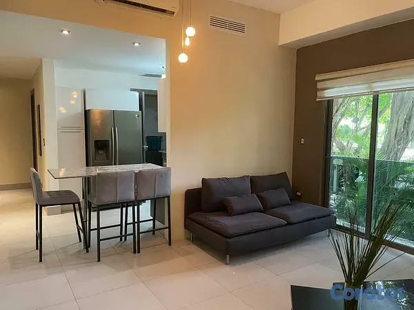 apartamentos - Apartamento en Alquiler en Piantini Amueblado de U 7