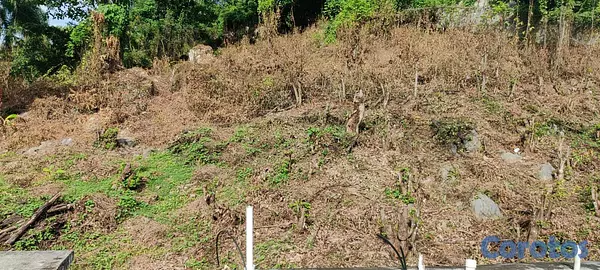 solares y terrenos - Las Terrenas, solar en loma 2
