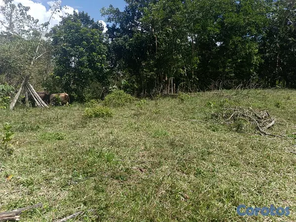 solares y terrenos - finca de 182 tareas en Monte Plata  9