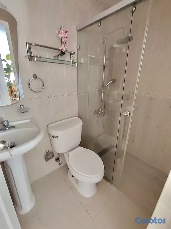 apartamentos - Apartamento en Alquiler  5