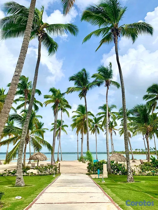 penthouses - Playa Nueva Romana  10