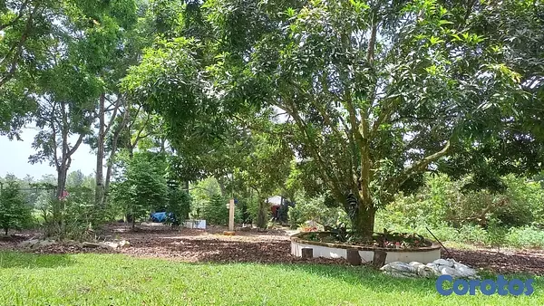 solares y terrenos - Solar en venta en los mogotes de Villa Altagracia República Dominicana de 5000m2 3