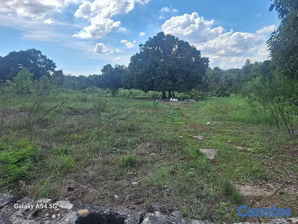 solares y terrenos - Venta de terreno 
