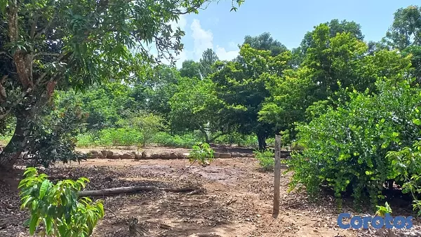 solares y terrenos - Solar en venta en los mogotes de Villa Altagracia República Dominicana de 5000m2 2