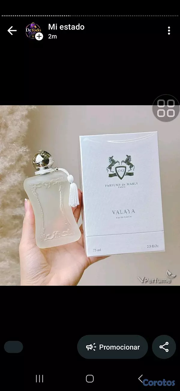 Otros productos - ofertas de perfumes 6 por 5400 2