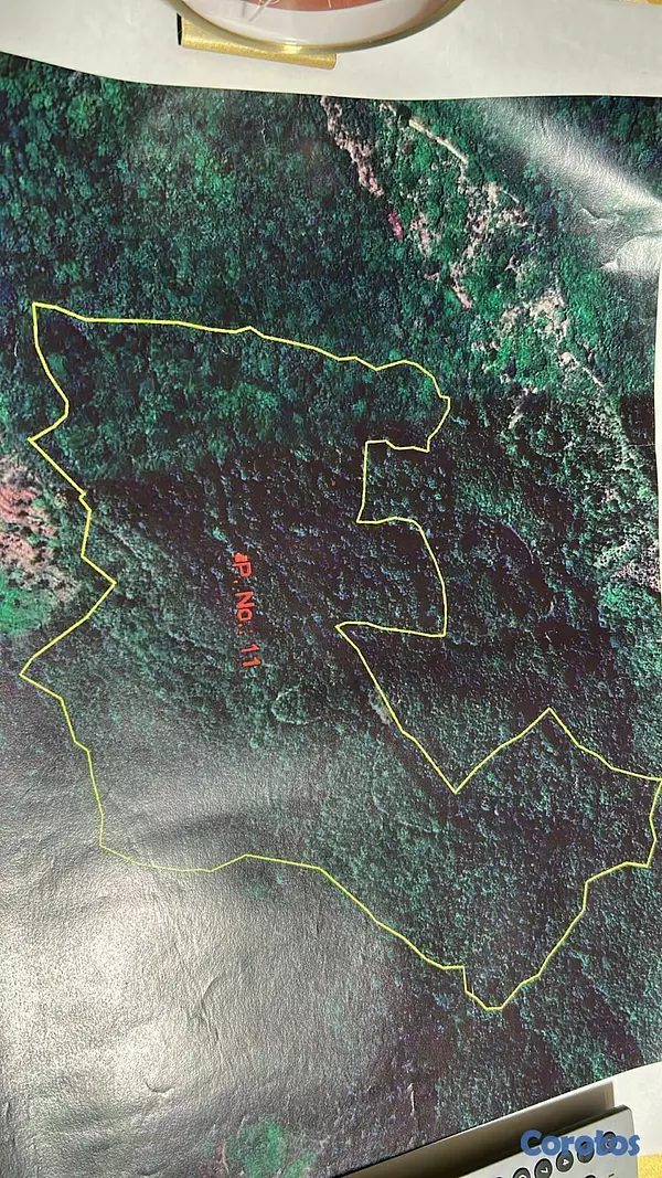 solares y terrenos - Finca en Altamira Puerto Plata de 464 tareas  2