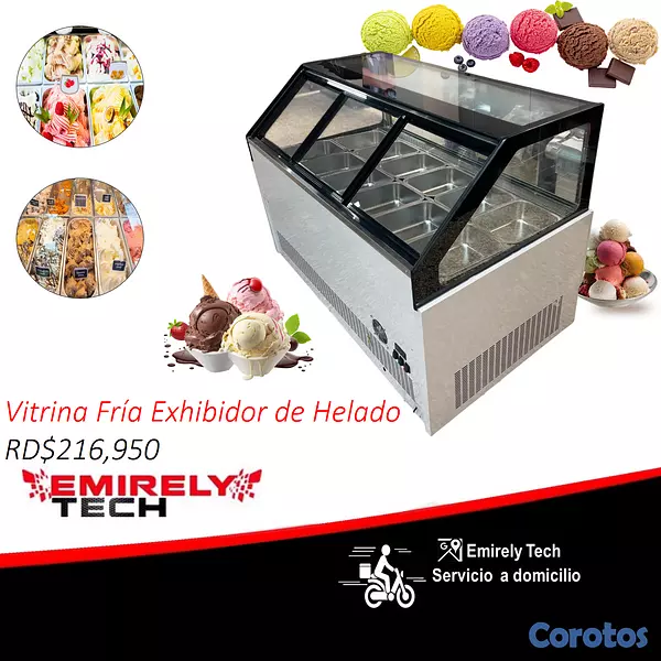 equipos profesionales - Vitrina fria freezer exhibidor para helado duro 1