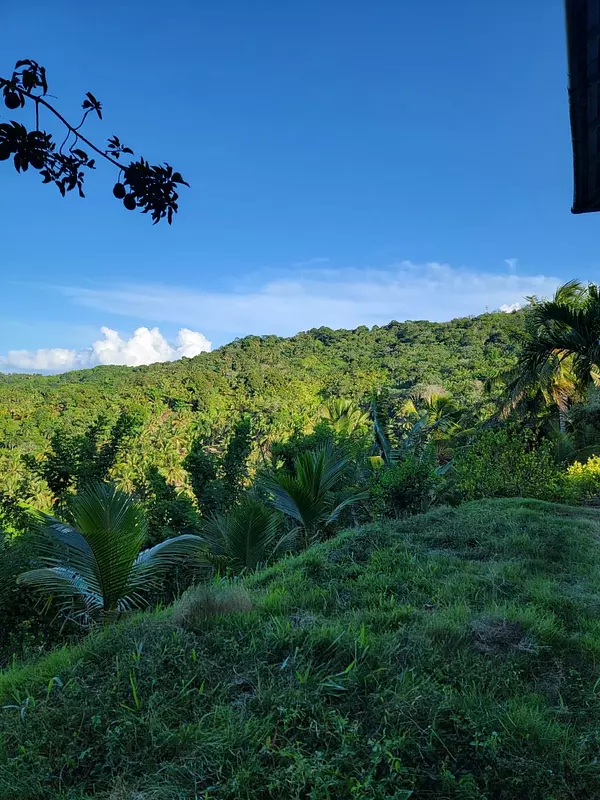 solares y terrenos - hacienda en nagua  5