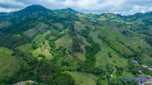 solares y terrenos - OPORTUNIDAD PARA DESARROLLO 39 TAREAS DE TIERRA EN 2