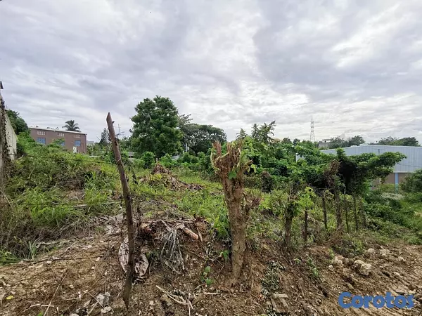 solares y terrenos - Solar en venta en Pantoja de 260 metros 4