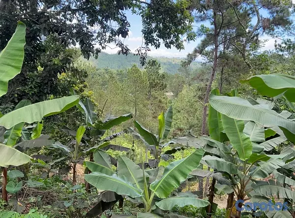 solares y terrenos - TERRENO EN VENTA – JAMAMÚ, SAN JOSE DE LAS MATAS 8
