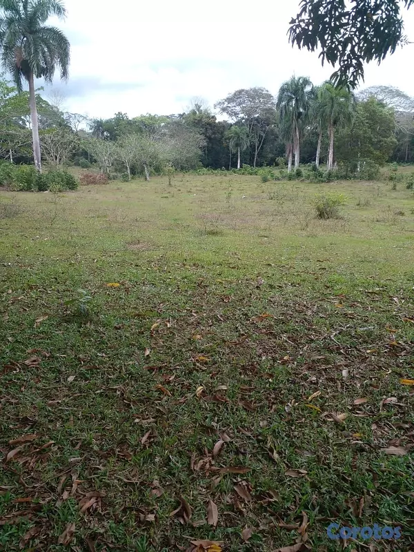 solares y terrenos - finca de 125 tareas  en bayaguana  5