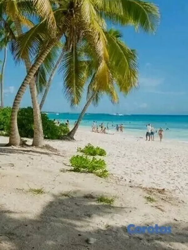 casas vacacionales y villas - 🚨DIOS! 🚨Invierte en 📍 Punta Cana. 🇩🇴 Apartamentos para Vivir e Invertir  9