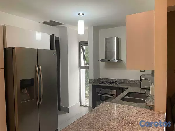 apartamentos - Apartamento en Alquiler en Piantini Amueblado de U 9