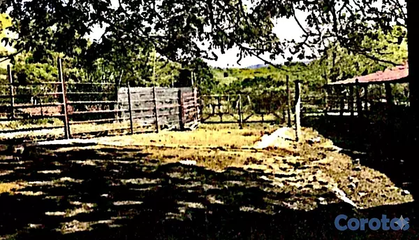 solares y terrenos - finca de 729 tareas en san José de las matas  14