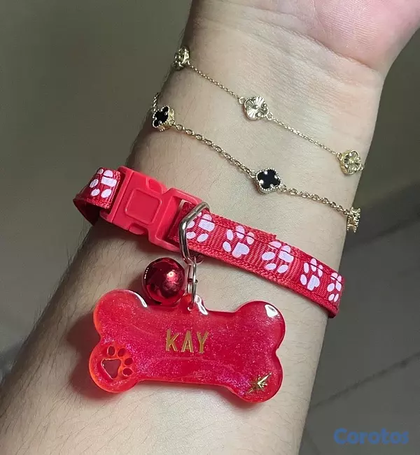 animales y mascotas - Chapillas y collares personalizados para perros y gatos 5
