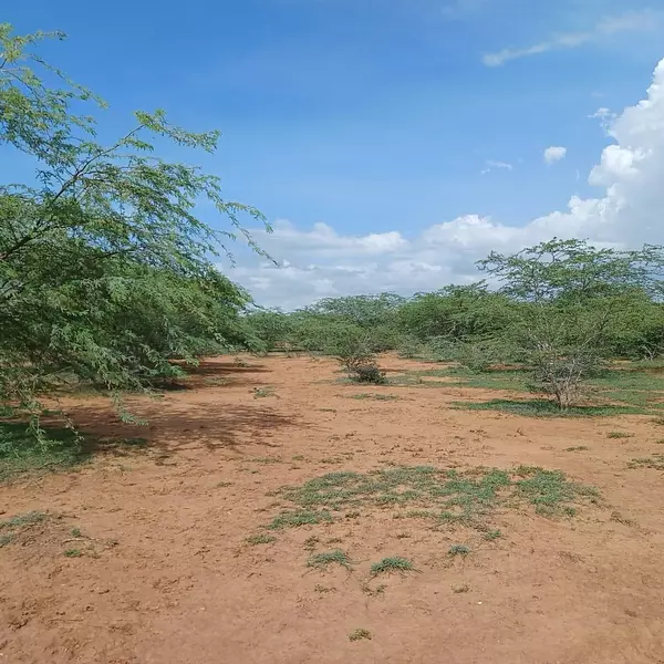 solares y terrenos - Finca 7,000 tareas Mao
 4