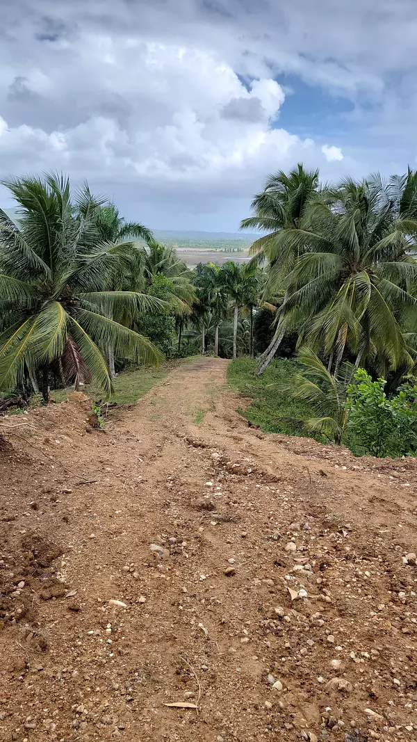 solares y terrenos - hacienda en nagua  9