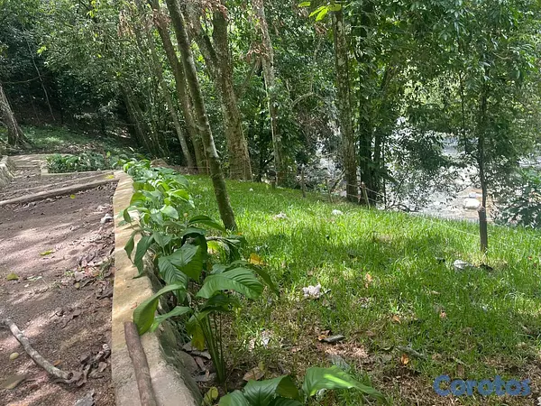 solares y terrenos - Solares Residenciales con acceso al Rio en Jarabac 4