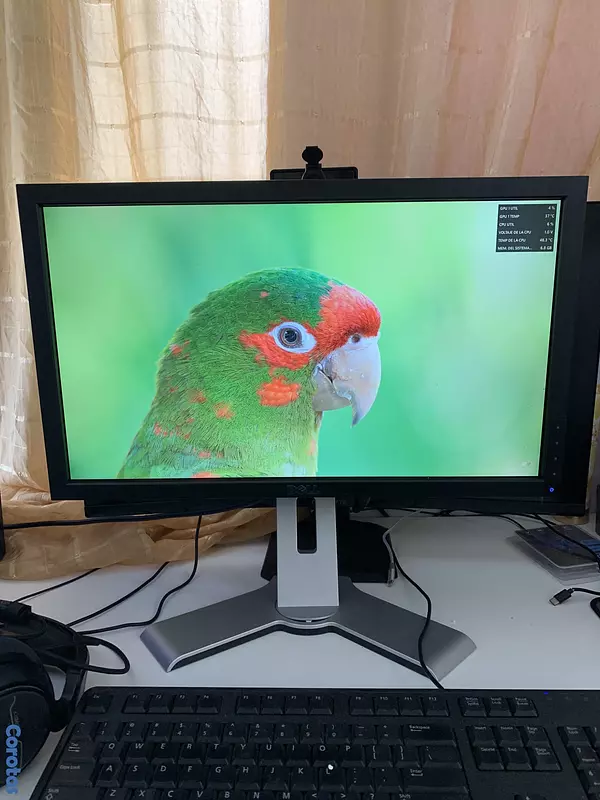 computadoras y laptops - MonitorDELL20”1600 x 600 pixeles 60Hz,5msPanel TN, DVI-D, DP, VGA, 4 puertos USB 4
