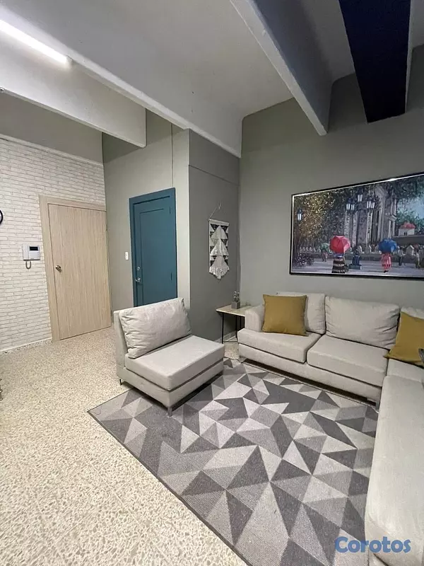 apartamentos - rento apartamento 1hab céntrico en Santo Domingo  3