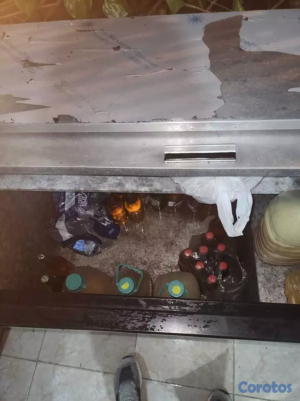 equipos profesionales - Vendo freezer 2