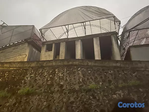 solares y terrenos - Finca de 4075 tareas en Cibao de Cacao  6
