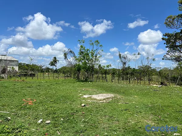 solares y terrenos - Vendo Terreno para NAVES en PEDRO BRAND, 45,881 Mt 9